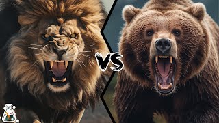 Barbary Lion vs Kodiak Bear – Who would win a fight [upl. by Aydni569]