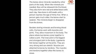 3 Bones Critical Reading [upl. by Marilin]