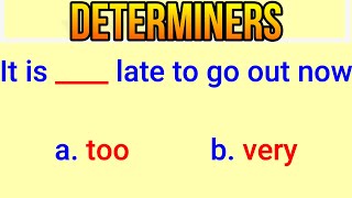 English Grammar Quiz Determiner TestAnSomeManyFewLittleTheEachEnglish MasterClass [upl. by Yekcaj]