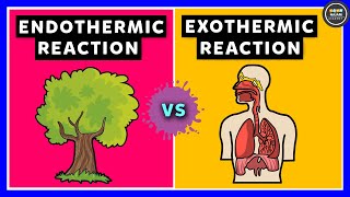 Exothermic and Endothermic Reactions  Chemistry [upl. by Amelina870]