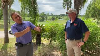 Palm View Golf Course McAllen Texas [upl. by Marieann584]