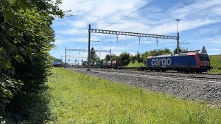 Bahnverkehr in Wohlenschwil 09082024 [upl. by Soule910]