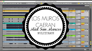 Los Muros Caeran Miel San Marcos Multitrack [upl. by Olympia599]