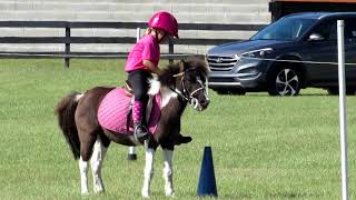 Mounted Games Florida Horse Park [upl. by Ecirtaemed285]