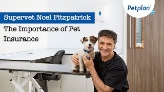 Petplan and Supervet Noel Fitzpatrick On The Importance of Pet Insurance [upl. by Frazier]