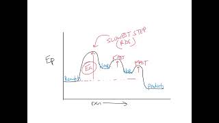 Reaction Mechanisms [upl. by Aicemed684]