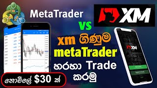 how to add xm trading account to meta trader 4 and 5 [upl. by Kcira]