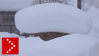 Valle Aurina oltre un metro di neve [upl. by Nrevel]