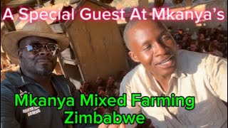 HOW I STARTED MY FARMING JOURNEY IN ZIMBABWE Part 18 [upl. by Godiva]