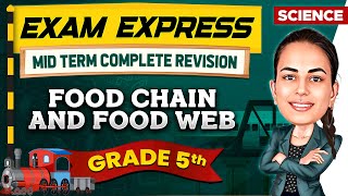 Food Chain and Food Web  Midterm Revision For Class 5th  Exam Express [upl. by Modestia]