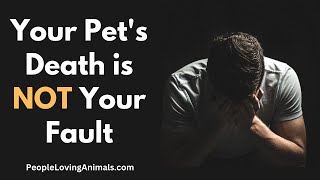 Your Pets Death is Not Your Fault petloss  Pet Grief  Dog Loss  Cat Loss  Pet Death Guilt [upl. by Zoarah978]