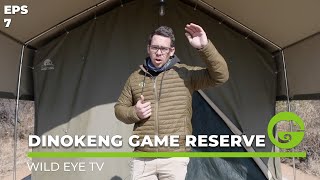 Wild Eye TV  Episode 7  Dinokeng Game Reserve [upl. by Canfield]