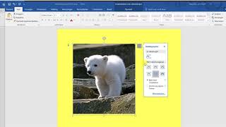 5 Afbeelding verplaatsen Word 2016 [upl. by Jezabel983]