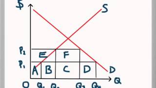 Tariff vs Subsidy [upl. by Leahcimnhoj504]