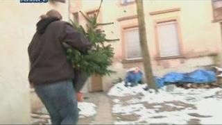 Une seconde vie pour les sapins de Noël ‎Alsace [upl. by Ttekcirc]