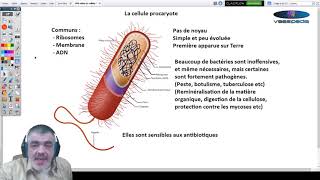 Biologie  La Cellule Introduction et classification [upl. by Braunstein]