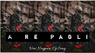 A RE PAGLI  NAGPURI NEW SONG [upl. by Nitniuq]