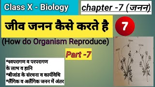 77 जनन Reproduction  Part 7 Class X Biology [upl. by Kawai]