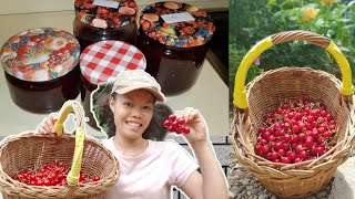 WEICHSELN CHERRY JAM  HOW I MADE JAM  PINAY IN AUSTRIA [upl. by Ateekal]