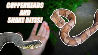 Copperheads and Snake Bites Herping in Texas [upl. by Michelsen]