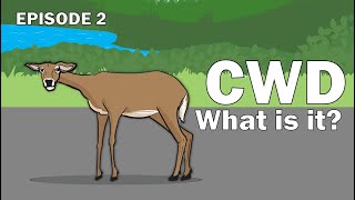 CWD Series Episode 2  What is CWD [upl. by Esiuqram]