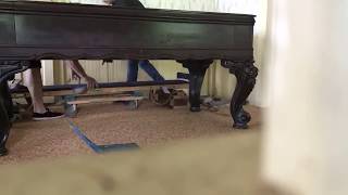 Square grand piano moving PianoLimo by Amadeus Piano Co LLC [upl. by Fogel]