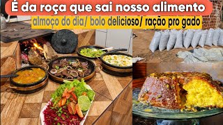 Preparando um almoço com alimentos orgânicos no fogão a lenha  bolo de maracujá  silagem pronta [upl. by Turner282]