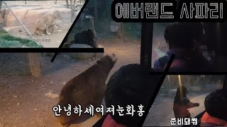 일상에버랜드 사파리 설명해주시는 분 입담 너무 웃김ㅋㅋㅋㅋㅋㅋㅋㅋㅋㅋㅋㅋ [upl. by Grata]