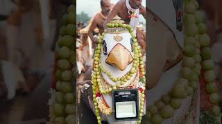 തിരുവോണത്തോണി ദർശനം  Aranmula  Vallamkali  Kuthiyottam song  Onam 2024  shorts [upl. by Lemert]