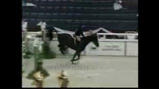 Brianne Goutal2004 WIHS Equitation Finals [upl. by Aehr]