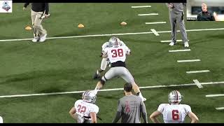 Ohio State Analyst Rob Keys  Snag TechniqueDrill Punt Coverage [upl. by Aisatal]