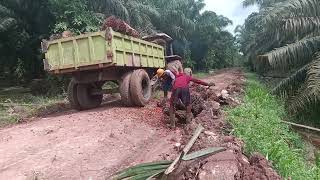 Old Massey Ferguson Tractor at Work [upl. by Janice]