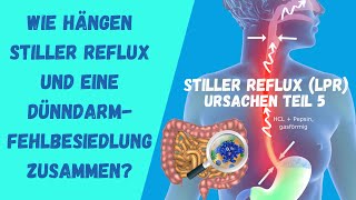 Wie hängen Stiller Reflux und eine Dünndarmfehlbesiedlung zusammen [upl. by Aneloc414]