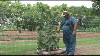 June Field Trip  Growing a Vegetable Garden [upl. by Na907]