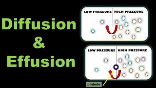 Diffusion and Effusion of Gases Definition Examples and Difference  State of Matter Gaseous State [upl. by Arihsat113]