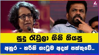 සුදු රැවුලා ගිනි තියපු අනුර  හරිනි ගැටුම අදත් පත්තුවේ [upl. by Lisha]