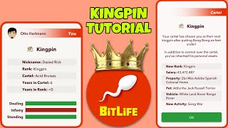 HOW TO BECOME THE KINGPIN AND SUCCESSFULLY RUN A CARTEL  dealer job pack  Bitlife [upl. by Monahan]