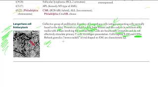 45 Langerhans cell histiocytosis [upl. by Chalmer]