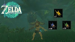 Rhino Beetle Early Farming Locations  The Legend of Zelda Tears of the Kingdom [upl. by Nomolas607]