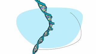 Chronic lymphocytic leukemia CLL and your genes [upl. by Hemphill]