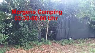 Camping Ca Savio Eurocamp Gänse und Hähne morgens Lärm [upl. by Reiche]