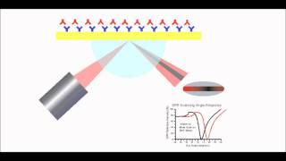 Surface Plasmon Resonance Explained [upl. by Schaefer]