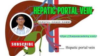 Hepatic Portal Vein [upl. by Loos326]