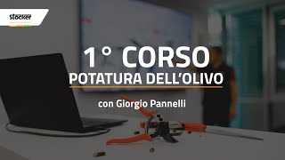 1° CORSO POTATURA DELL’OLIVO [upl. by Aneerol]