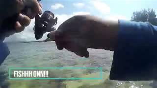 Ep20 Fishing in Mauritius at Poste Lafayette [upl. by Kenay512]