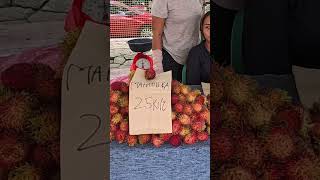 Rambutan and Lanzones Fiesta A taste of Davao Tropical Harvestphilippinesharvesttropicalfruits [upl. by Taylor]