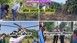 multilayer farming practical  multilayer farming  practical part 2 [upl. by Joselow973]