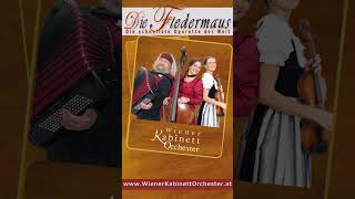 „Die Fledermaus“ – Eine ZweiPersonenOperette im Theater Westliches Weinviertel [upl. by Herta32]