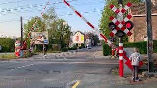 Trein slagbomen Mortsel [upl. by Aneerb52]