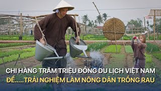 Chi hàng trăm triệu đồng du lịch Việt Nam để…trải nghiệm làm nông dân trồng rau  VTVMoney [upl. by Nola]